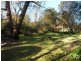 Hazelbrook NSW 2779