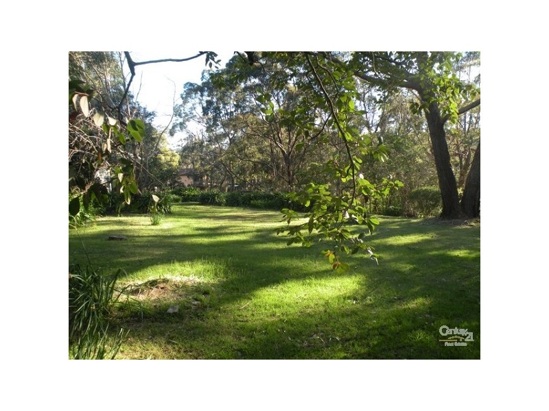 Hazelbrook NSW 2779