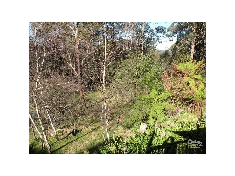 22 John Street, Hazelbrook NSW 2779