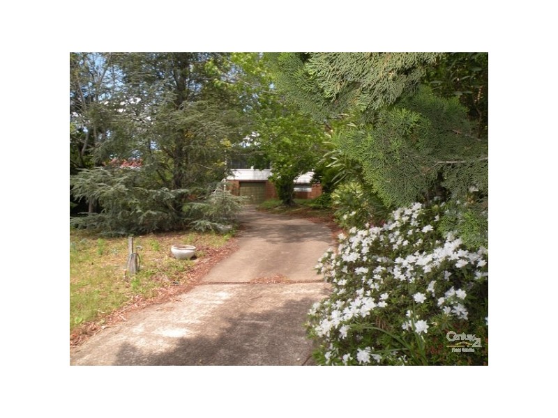 Hazelbrook NSW 2779