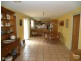 Hazelbrook NSW 2779