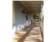 Hazelbrook NSW 2779