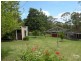 Hazelbrook NSW 2779