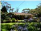 Hazelbrook NSW 2779