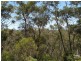 28 Terrace Falls Road, Hazelbrook NSW 2779