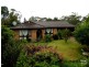 Wentworth Falls NSW 2782