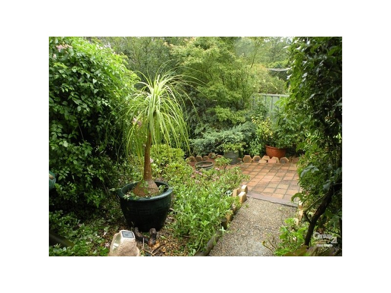 Wentworth Falls NSW 2782
