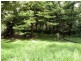 Hazelbrook NSW 2779