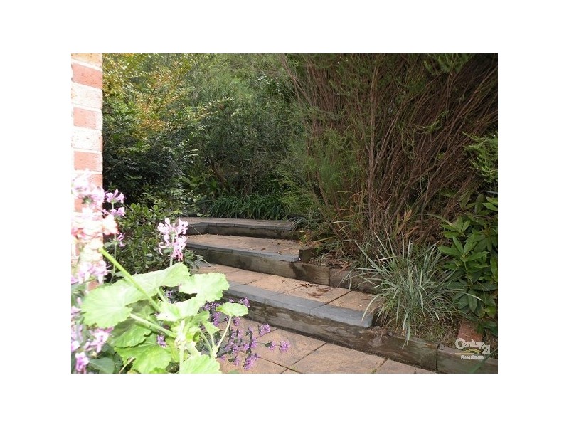 Hazelbrook NSW 2779