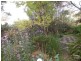 Hazelbrook NSW 2779