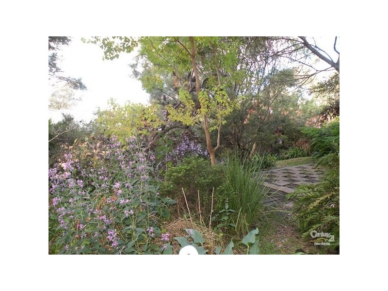 Hazelbrook NSW 2779