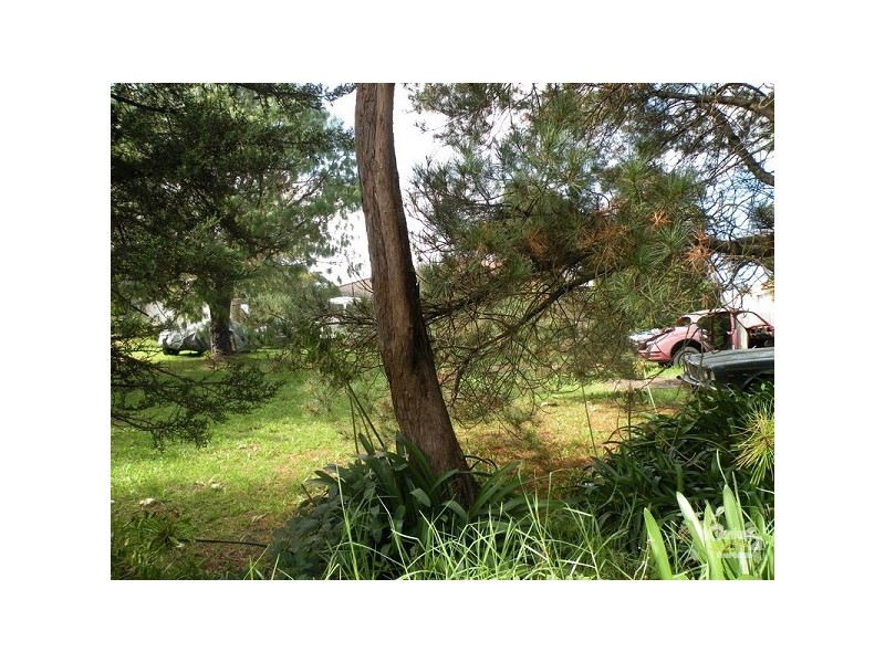 Wentworth Falls NSW 2782