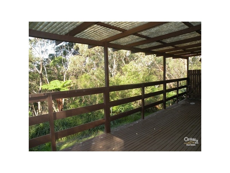 Hazelbrook NSW 2779