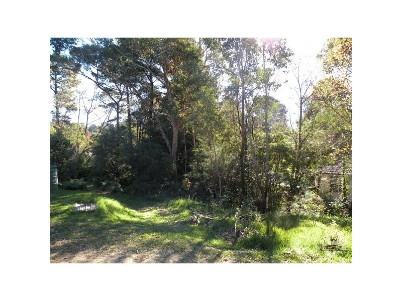 40 Birdwood Parade, Hazelbrook NSW 2779