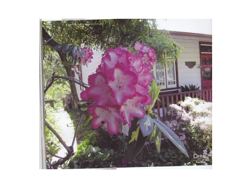 20 Falcon Street, Hazelbrook NSW 2779