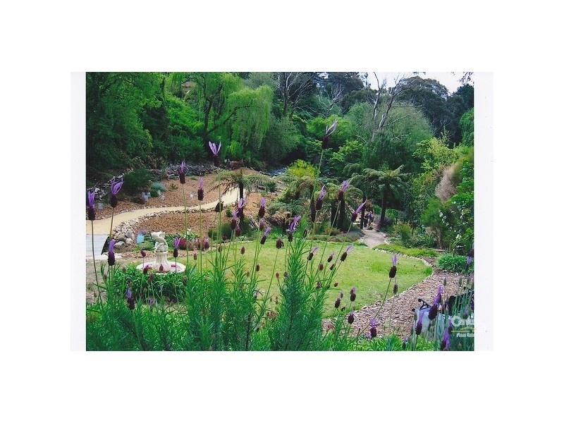 20 Falcon Street, Hazelbrook NSW 2779