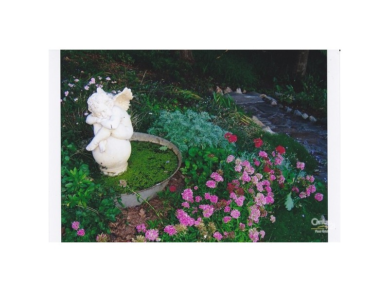 20 Falcon Street, Hazelbrook NSW 2779