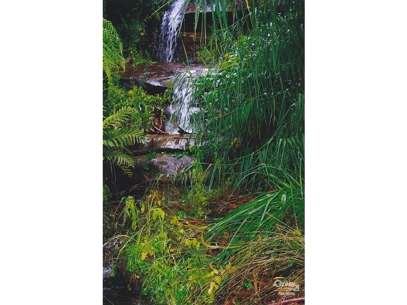 20 Falcon Street, Hazelbrook NSW 2779