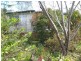 Hazelbrook NSW 2779