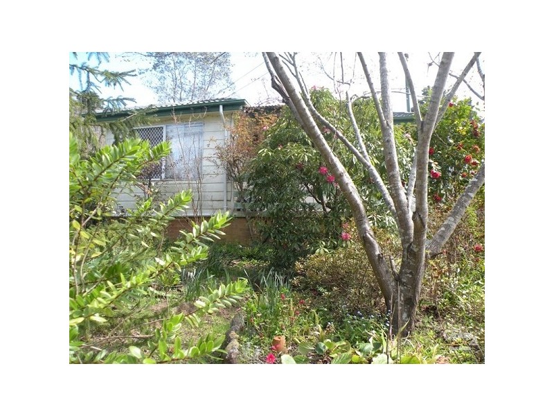 Hazelbrook NSW 2779