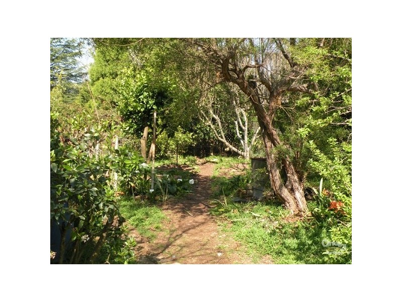 Hazelbrook NSW 2779