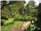 Hazelbrook NSW 2779