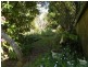 Hazelbrook NSW 2779