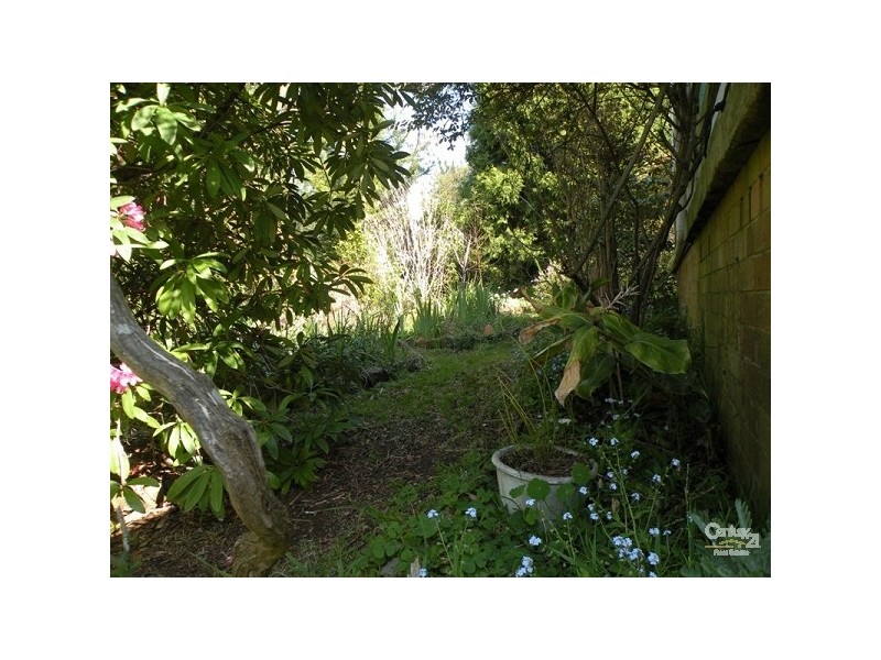 Hazelbrook NSW 2779