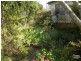 Hazelbrook NSW 2779