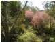 Hazelbrook NSW 2779
