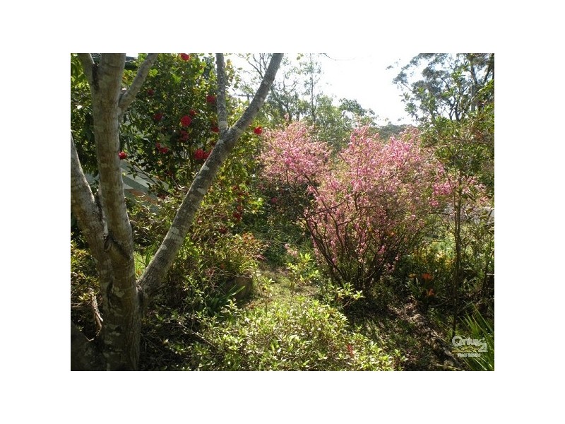 Hazelbrook NSW 2779