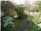 Hazelbrook NSW 2779