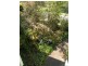 Hazelbrook NSW 2779