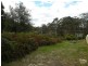 82 Hall Parade, Hazelbrook NSW 2779