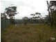 Hazelbrook NSW 2779