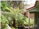 42 Terrace Falls Road, Hazelbrook NSW 2779