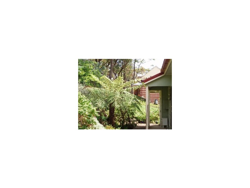 42 Terrace Falls Road, Hazelbrook NSW 2779