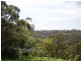 42 Terrace Falls Road, Hazelbrook NSW 2779