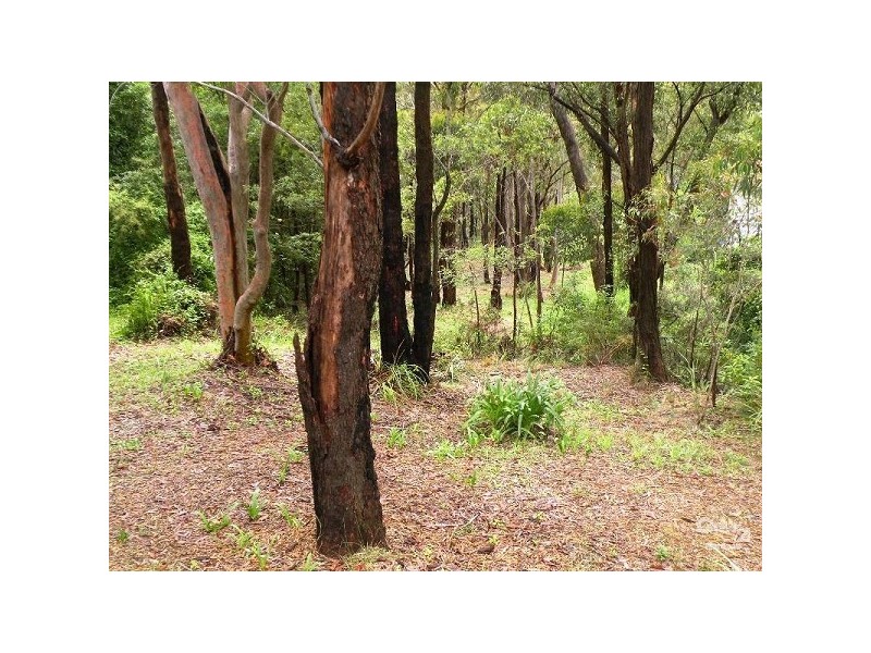 19 Alexander Avenue, Hazelbrook NSW 2779