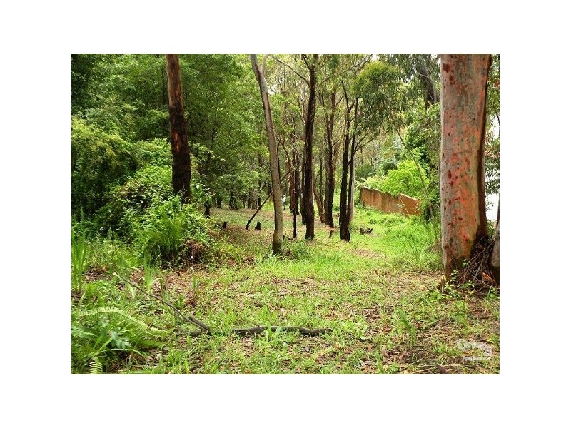 19 Alexander Avenue, Hazelbrook NSW 2779