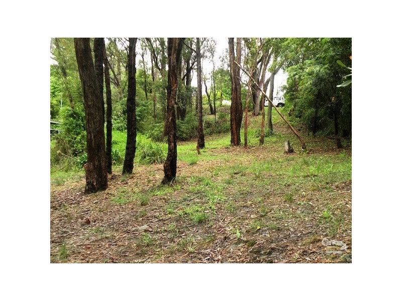 19 Alexander Avenue, Hazelbrook NSW 2779