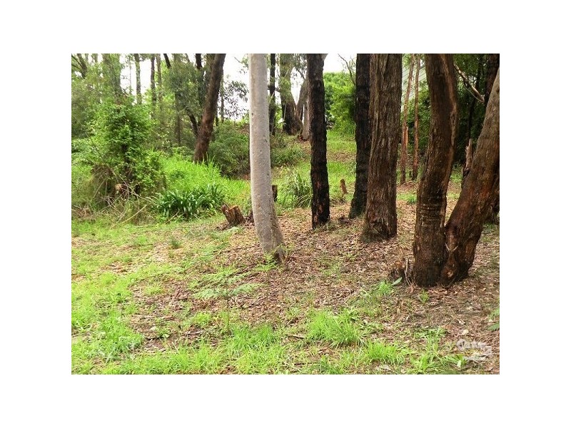 19 Alexander Avenue, Hazelbrook NSW 2779