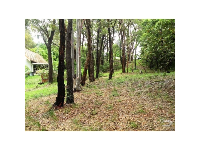 19 Alexander Avenue, Hazelbrook NSW 2779