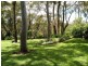 Hazelbrook NSW 2779