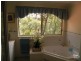 Hazelbrook NSW 2779
