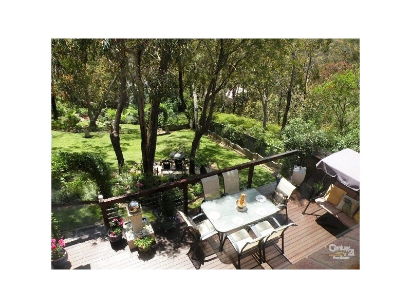 Hazelbrook NSW 2779