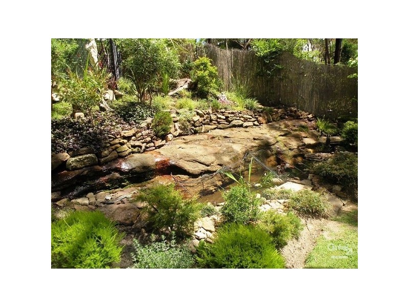 Hazelbrook NSW 2779
