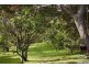 18 Adelaide Street, Lawson NSW 2783