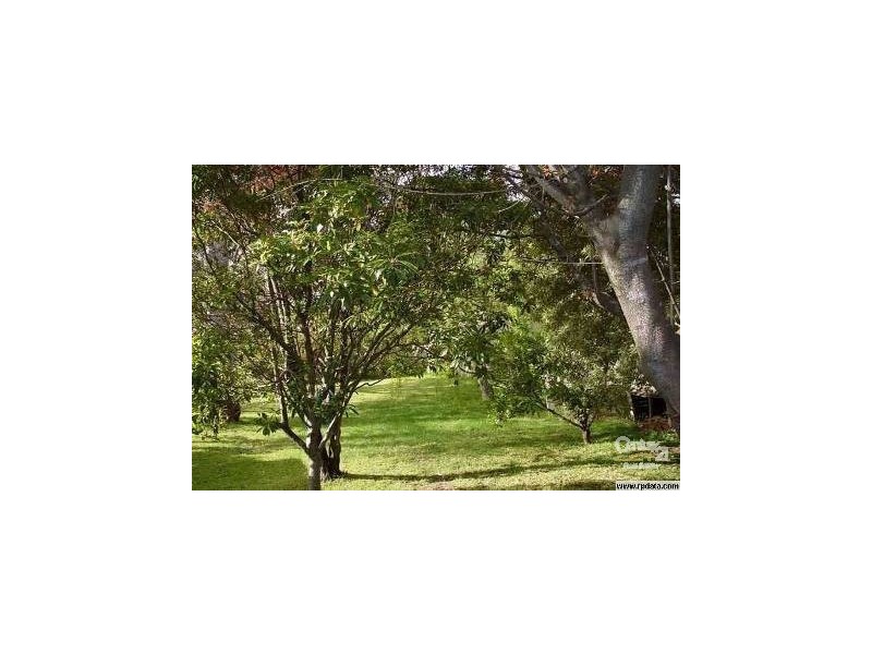 18 Adelaide Street, Lawson NSW 2783