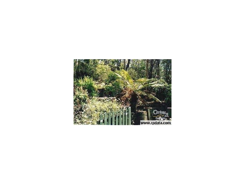 40 Pimelea Drive, Woodford NSW 2778